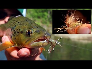BIG BUGS | HOW TO TIE THE GOLDEN STONE FLY | Gold Standard Golden Stone (Great Attractor Pattern)