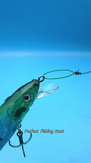 Perfect Fishing Knot: How to Tie the Best Knot for Your Reel