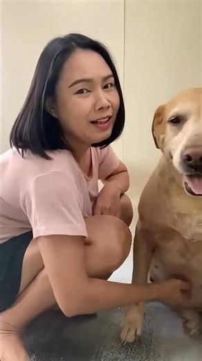 #timelapse :start to finish alone build log cabin (wooden house) how to build wooden cabin surviv