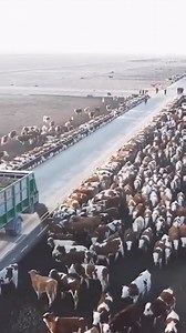 16M views · 36K reactions | النجاح يأتي بالعمل والعلم .. | دلتا ووتر جهاز معالجة ملوحة المياه والتربة - Delta Water | Facebook