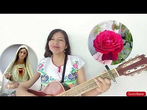 UNA ROSA BLANCA PARA MARÍA (LETRA Y ACORDES)