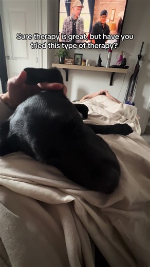 The best therapy is playing with your dogs ears 😝 #doggo #dogtok #dogsvideo #springador #dog