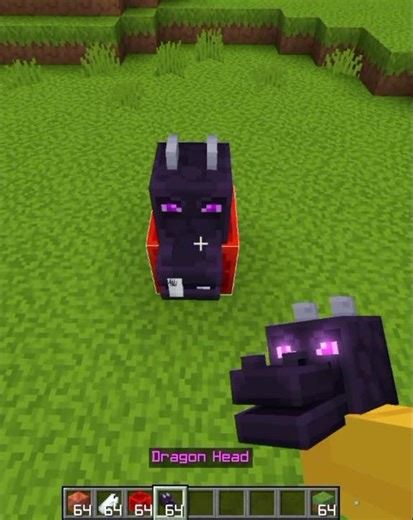 Minecraft New Tricks