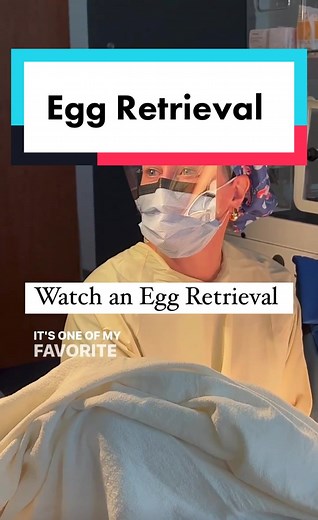 Understanding Egg Retrieval Procedure in IVF