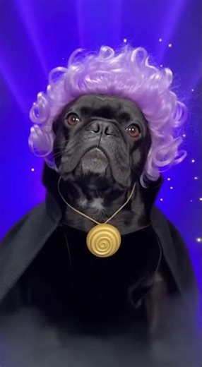 The little mermaid dogs :) #thelittlemermaid #dogs #aww #disney #nostalgia