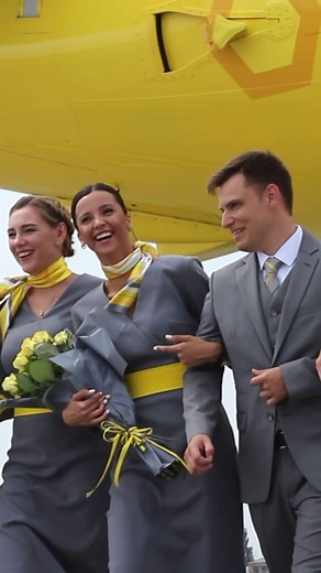 bees.aero на TikTok