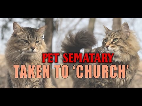 Meeting 'Church' the cat from Pet Sematary