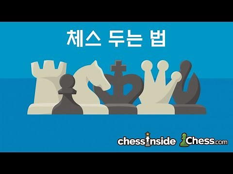 체스 두는 법 - 10분이면 충분합니다!