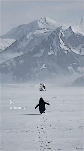 Red magic 11 pro plus it's a little anything in Giming 💀