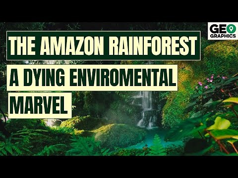 The Amazon Rainforest: A Dying Environmental Marvel