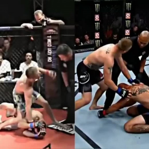 Mixed Martial Arts Fight in the Octagon