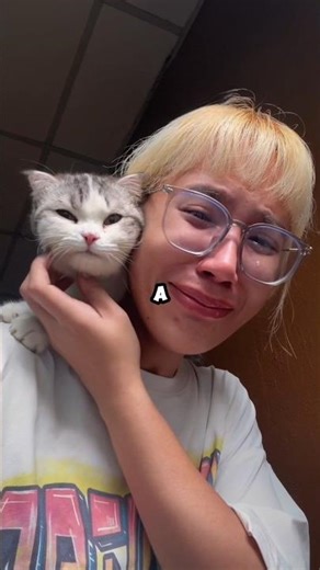 She asked the stray cats for help… and it worked 🐱❤️ #shortvideo