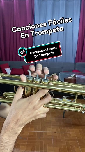#cancionesfaciles #trompeta #trompetista #musica #trumpet #trumpetplayer #🎺 #blingbling