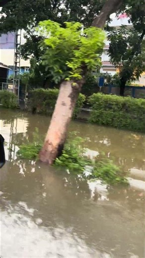 Banjir parah jakarta kelapa snaredrumfreakz flood pool fyp water rain storm chinese new year imlek