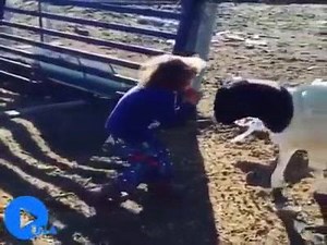 2.2M views · 474 reactions | Funny! | Farming Works | Facebook