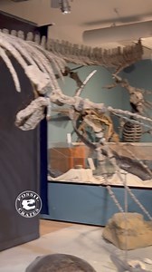 35K views · 937 reactions | That’s how they find them! This block...