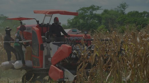 DC-93PH Kubota Combine Harvester for Rice and Corn