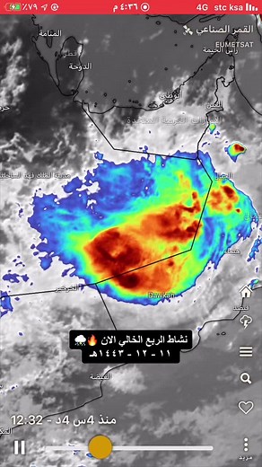 وبل بردي على TikTok