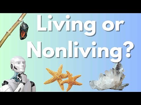 Can You Tell What’s Living? The Science of Life Explained!