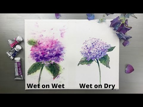 Watercolor Painting - WET ON WET vs WET ON DRY Technique-Hydrangea- Tutorial Step by Step.