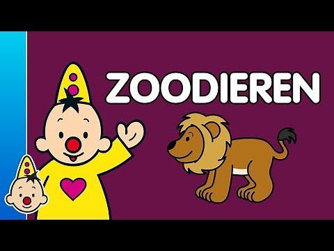 Zoodieren - Leren met Bumba