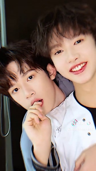 Understanding TF Stan Culture and Community