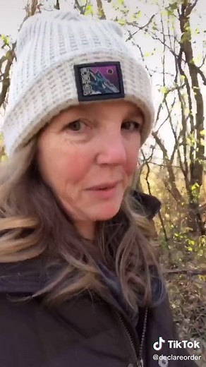 Declare Order on TikTok