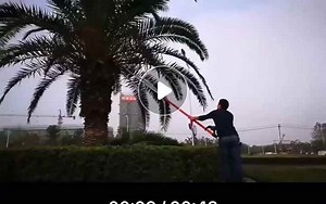 3m  Long Pole Palm Oil Fruit Nut Harvester Machine 55cc Palm Tree Cutter