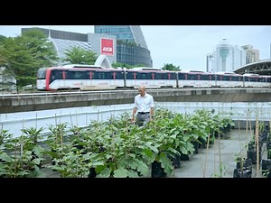 Tokyo and Kuala Lumpur: The cities sharing big ideas | Transforming Cities