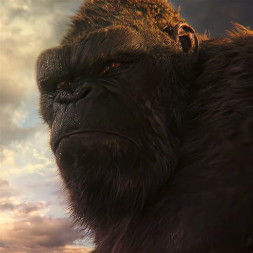 "Battle will be legendary" | godzilla vs kong | Matadora (Slowed) #trending #shorts