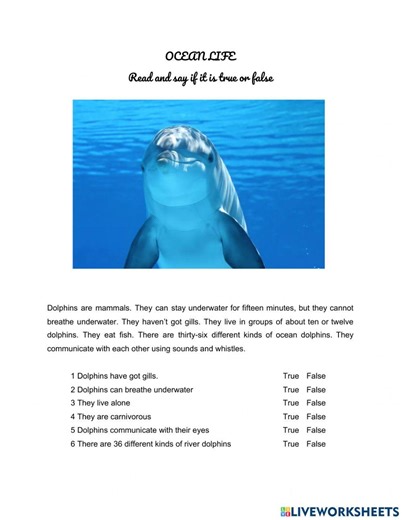 Ocean animals Dolphins worksheet