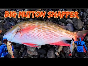🎣 Insane Lure Hit! My First Mutton Snapper in St Thomas😱