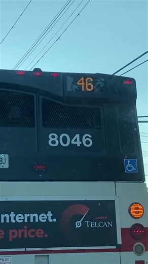TTC 8046 on 46 Martingrove September 24, 2021