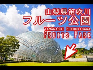 山梨県 笛吹川 フルーツ公園　Yamanashi city Fruits park