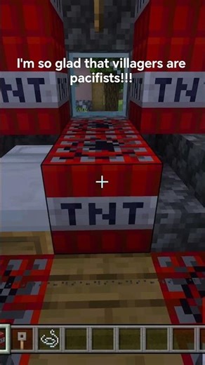 #minecraft village pranking