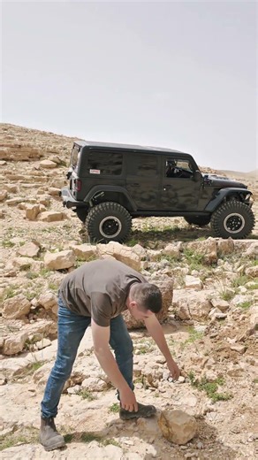 13 апреля 2026 г.