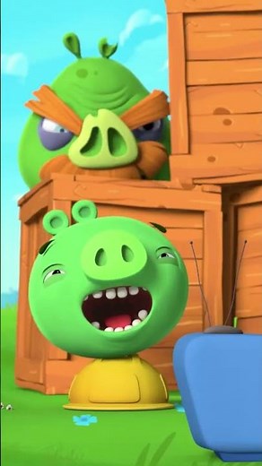 Watch your back Piggies 👀