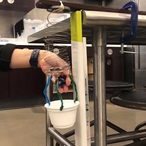 Our Slinky Scale Experiment highlights elements of the scientific method like observation, hypothesis, and analysis. Stop by the Hershey Lab today to conduct your Slinky Scale Experiment! | Amazeum