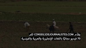 🧠 نصائح من الصحفيين : أداة تعليمية مجانية من تصميم CFI ، في خدمة الصحفيين حول العالم. 🔵 استفد من التدريب المجاني عبر الإنترنت لتعلم الصحافة وقضاياها بشكل أفضل : 🔹المساواة الجندرية 🔹البيئة 🔹الصحة 🔹محاربة التضليل 🔹صحافة الحلول 🔗 https://buff.ly/3tRpeo6 #CFImédias #ConseilsDeJournalistes #Journalism #Genre #Disinformation #Health #Training #Solution | CFImedias