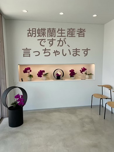 #ヒカルオーキッド #胡蝶蘭 #ハイアールチャレンジ #贈り物 #flower #花 #選挙 #ギフト #プレゼント #