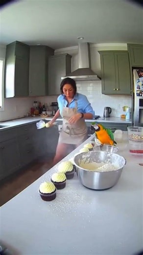 Parrot’s Flour Explosion Ruins Baking—Watch the Chaos Unfold!
