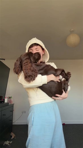 Meet Bruno: The Adorable New Addition!