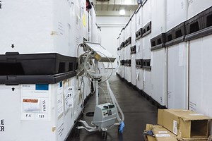 The Cost of Ventilators Just Skyrocketed — And New York Needs Thousands More