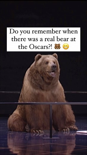 23K views · 44 reactions | The year was 1998. Mike Myers and Bart the Bear took the stage together to present the award for Best Sound Editing at the 70th Academy Awards. Bart starred in over 20 movies, TV shows, and commercials and joined the Oscars broadcast to celebrate animal actors. 﫡 Watch the 95th Academy Awards Sun. March 12 at 8pET on @ctv. (Courtesy of A.M.P.A.S.) #oscars | etalk | Facebook