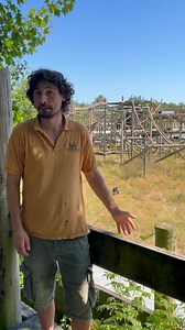 Who’s in charge in a chimpanzee family? Why do chimps groom each other? What’s the difference between a pant hoot and a pant grunt? No, it’s nothing to do with underwear! For the answers to all these questions & more, come and join us at the park next week as we celebrate our closest cousins, the chimpanzees, for World Chimpanzee Day! We’ll be learning all about chimpanzee communication & how to identify the different chimps here at Monkey World, and all their rescue and rehabilitation stories. 