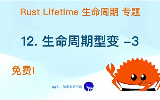 12. Rust生命周期型变 ，更多Rust lifetime型变的例子