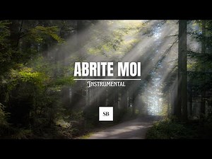 ABRITE-MOI - Instrumental | Sébastien Blb