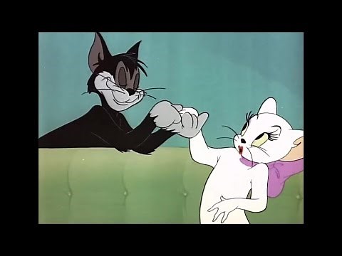 Tom and Jerry - Casanova Cat (1951) - Cartoon Kids