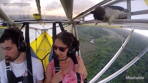 101K views · 983 reactions | Clandestine feline CATching a ride  Amazing how the pilot was able to turn around quickly and the kitty kept its cool and everyone was safe, although I dare to say that kitty is down one life  | Breathing for Peace | Facebook