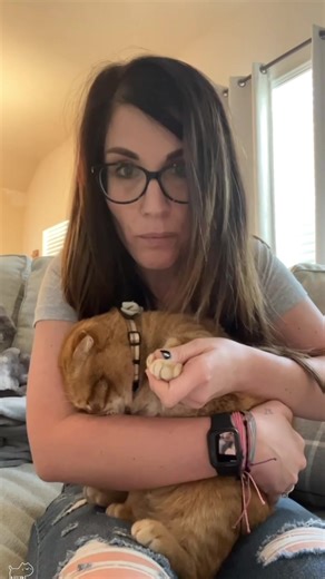 Dramatic Cat Queen Moments That Melt Hearts